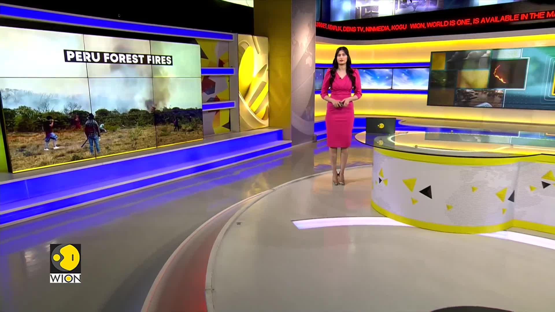 Peruvian President declares state of emergency