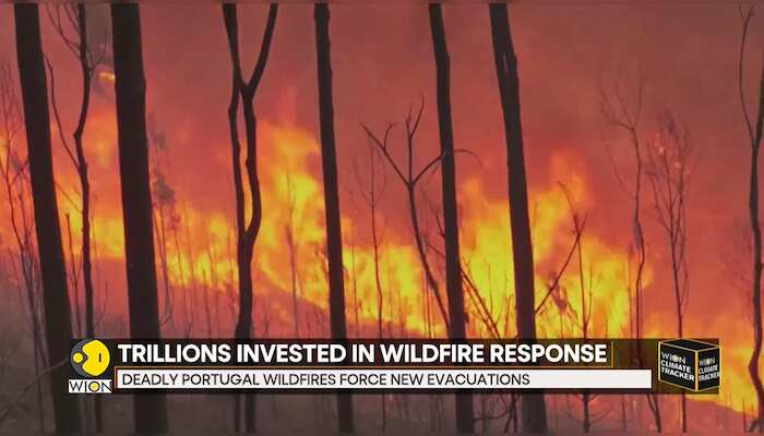 Portugal Declares State Of Calamity Amid Devastating Wildfires