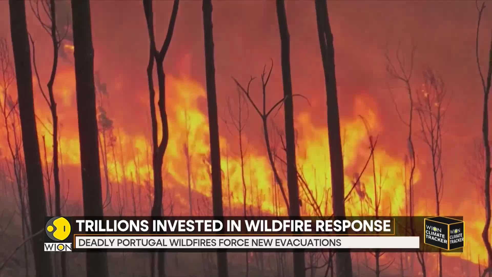 Portugal Declares State Of Calamity Amid Devastating Wildfires