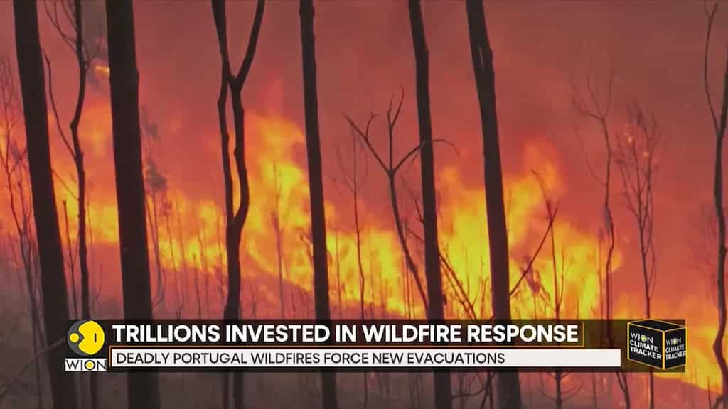 Portugal Declares State Of Calamity Amid Devastating Wildfires