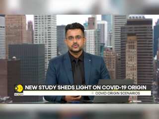 New study sheds light on Covid-19 origin