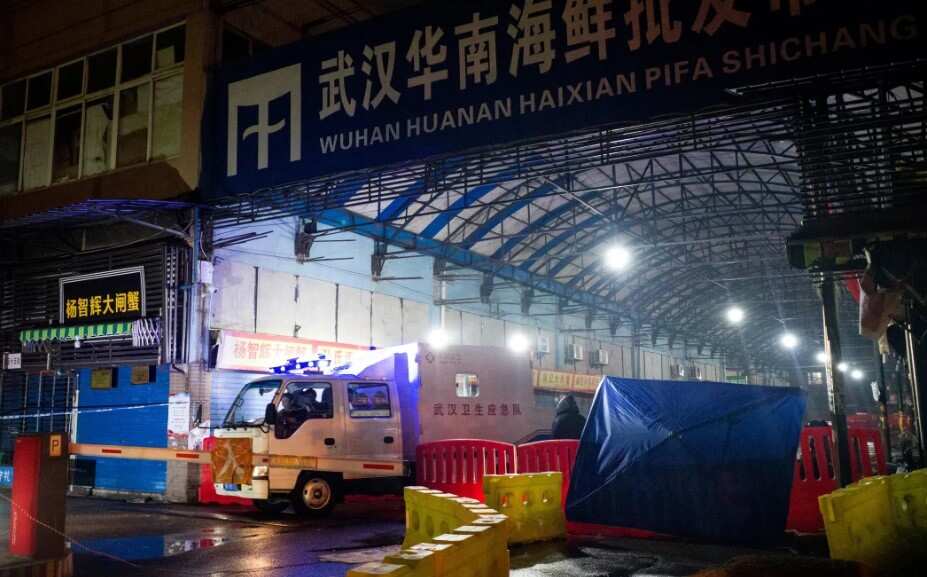 ‘Strong evidence’ hints COVID-19 originated from Wuhan market ‘Strong evidence’ hints COVID-19 originated from Wuhan market