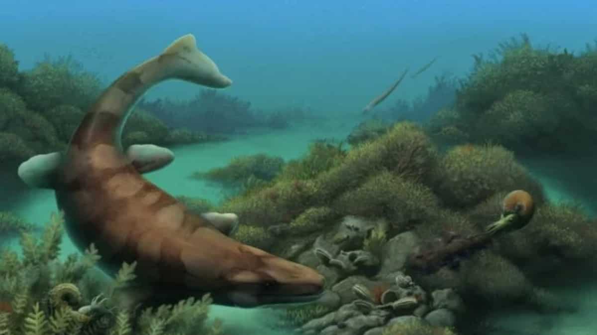 Sea monster lived 85mn years ago on Texas dry land that was once an ocean