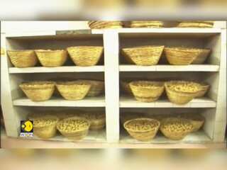 Tirupati Laddu Row: Andhra CM Naidu claims animal fat found in Tirupati prasad