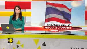 Thailand: Green Light For Medical Marijuana In Thai Legislative Overhaul