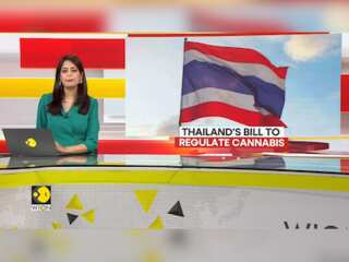 Thailand: Green Light For Medical Marijuana In Thai Legislative Overhaul