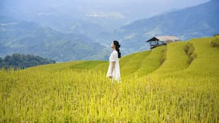 Woman goes on ‘solo honeymoon’ after heartbreaking tragedy, becomes internet sensation