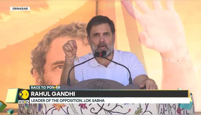 Rahul Gandhi Campaigns In Jammu & Kashmir, Criticizes BJP Policies