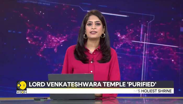 India: Tirupati Temple 'purified' Amid Row Over Alleged Animal Fat In Ladoos