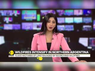 Wildfires Rage In Central Argentina: Over 200 Firefighters Deployed To Tame The Intense Forest Fires
