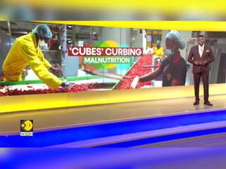 Nigeria Aims To Fight Malnutrition With Fortified Bouillon Cubes