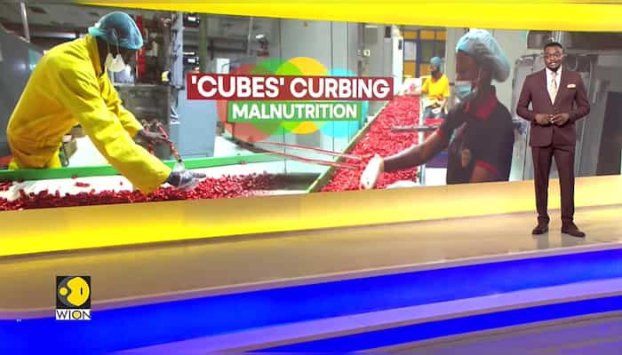 Nigeria Aims To Fight Malnutrition With Fortified Bouillon Cubes