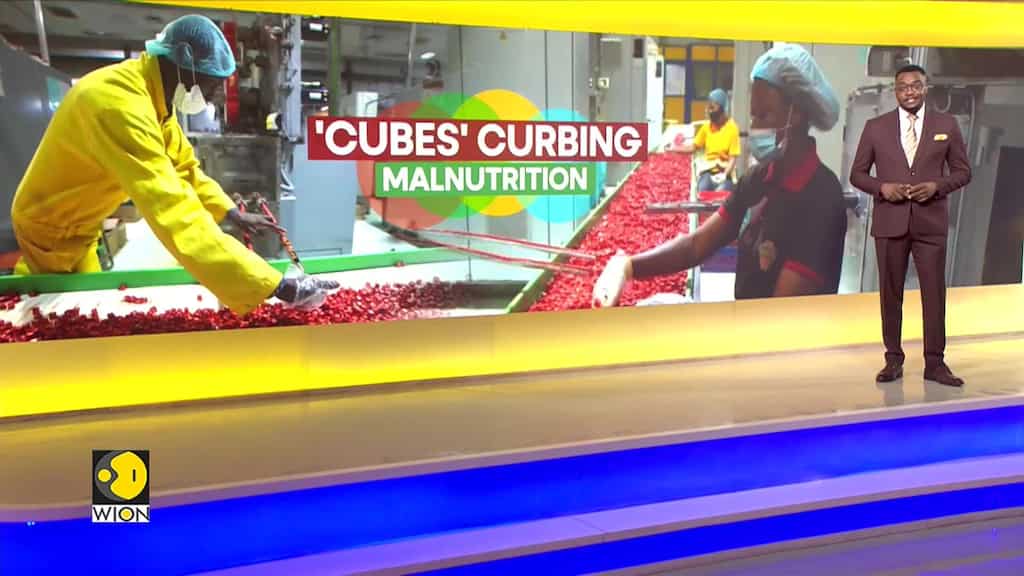 Nigeria Aims To Fight Malnutrition With Fortified Bouillon Cubes