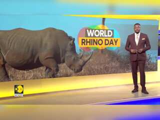 World Rhino Day 2024: Day Highlights Global Effort To Protect Rhinos | World Of Africa