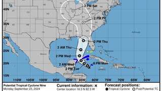 US: Authorities declare a state of emergency as Hurricane Helene set to hit Florida