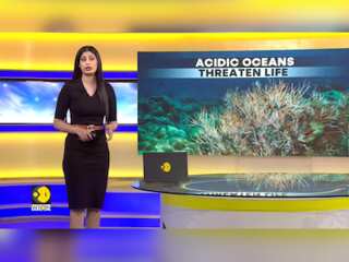Acidic Oceans Threatening Life On Earth