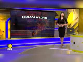 Ecuador: Fire Breaks Out in Capital Quito