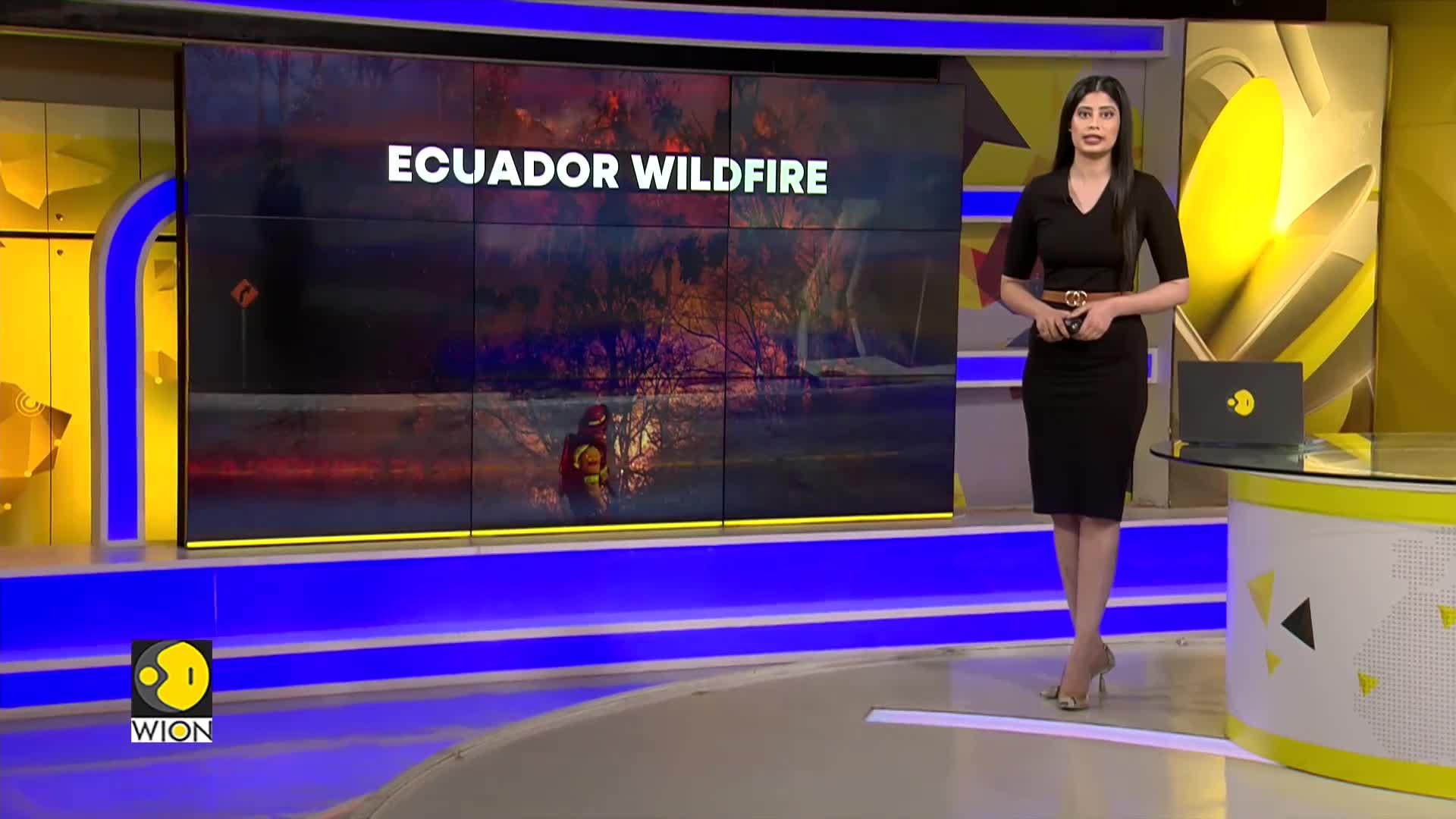 Ecuador: Fire Breaks Out in Capital Quito