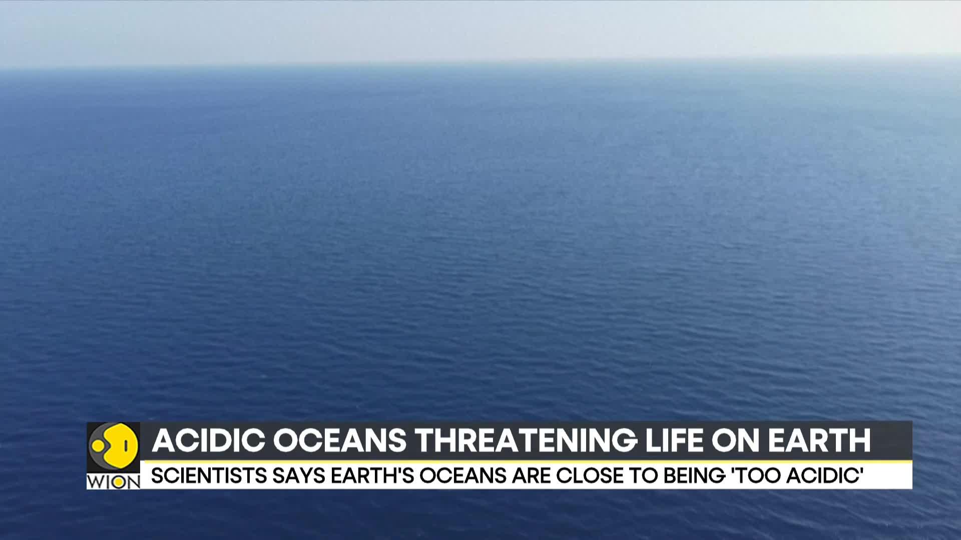 Will Marine Life Disappear In The Oceans?