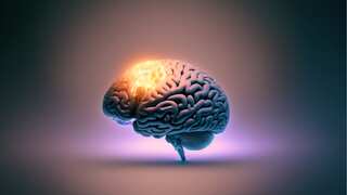 Severe depression acts out differently in the brains of youth as compared to adults