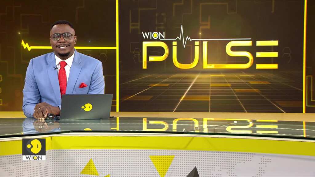 Russia-Ukraine War: Three Ukrainian Nuclear Plants In Putin's Crosshairs | WION Pulse