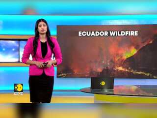 Quito Declares Emergency Due to Intense Fires