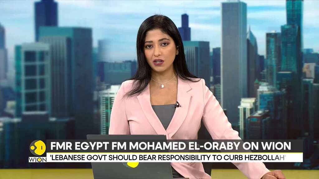 Israel-Hezbollah War: Israel Must Not Enter Another War In North, Says FMR Egypt FM Mohamed El Oraby