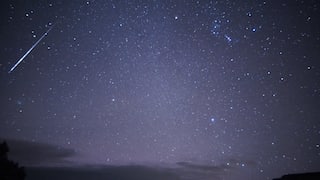 Meteor shower linked to Halley's Comet has started. Here is when to watch the Orionids