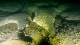 Dozens of massive craters discovered in Lake Michigan. No, asteroids didn't make them