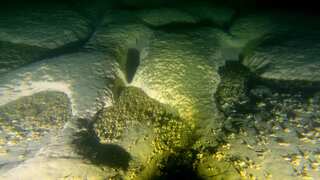 Dozens of massive craters discovered in Lake Michigan. No, asteroids didn't make them