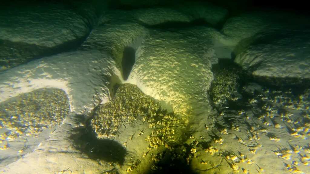 Dozens of massive craters discovered in Lake Michigan. No, asteroids didn't make them