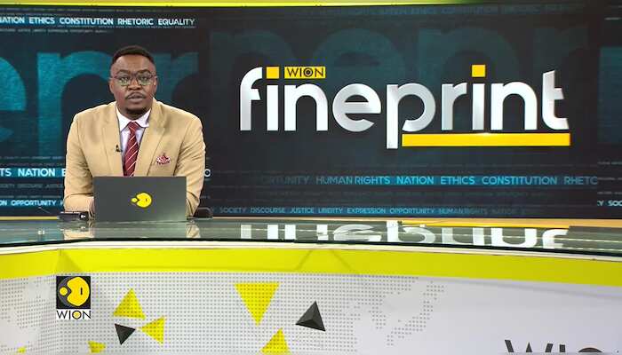 Worldwide Celebration of Chips, and Fries