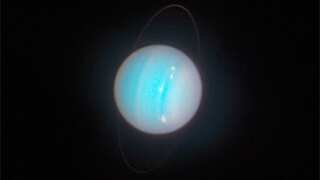 Uranus' moons might host liquid oceans with conditions ripe for life