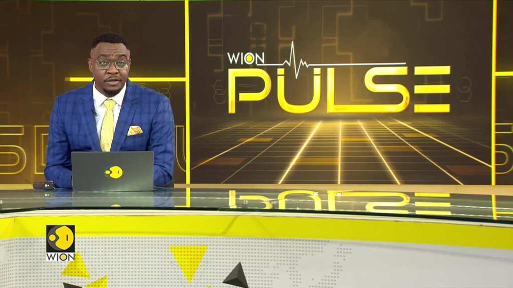 U.S. Voters React To Vice Presidential Debate | World News | WION Pulse