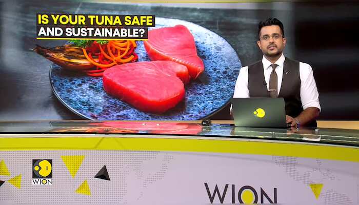 Is Your Tuna Safe And Sustainable?