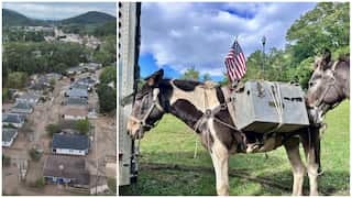 Watch: Hurricane Helene - Mules carry supplies, thousands without water as second-deadliest storm kills 162
