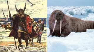 Vikings, not Columbus, were first to discover North America and meet Indigenous Americans