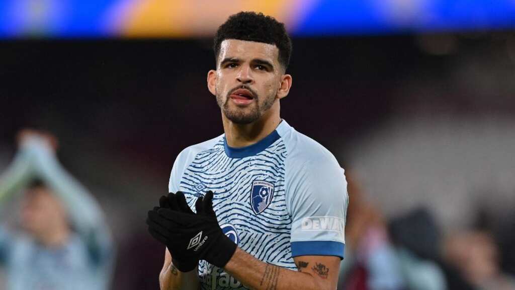Nations League: England recall Dominic Solanke for first time in seven years as Parmer, Bellingham return