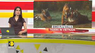 First Animals, Now Humans: Bird Flue Cases On Rise