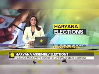 Haryana Assembly Election 2024: 1,031 Candidates Vie for 90 Seats in High-stake polls