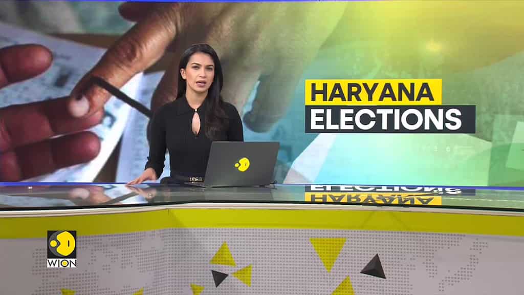 Haryana Assembly Election 2024: 23% Voter Turnout Recorded Till 11 AM