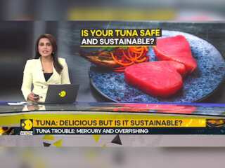 Tuna on Your Plate, Oceans at Risk?