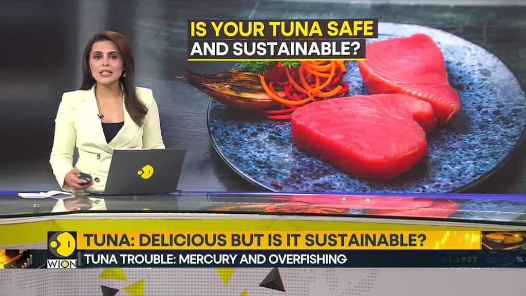 Tuna on Your Plate, Oceans at Risk?