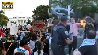 Journalist sets himself on fire at ceasefire protest in Washington as Gaza war nears first anniversary