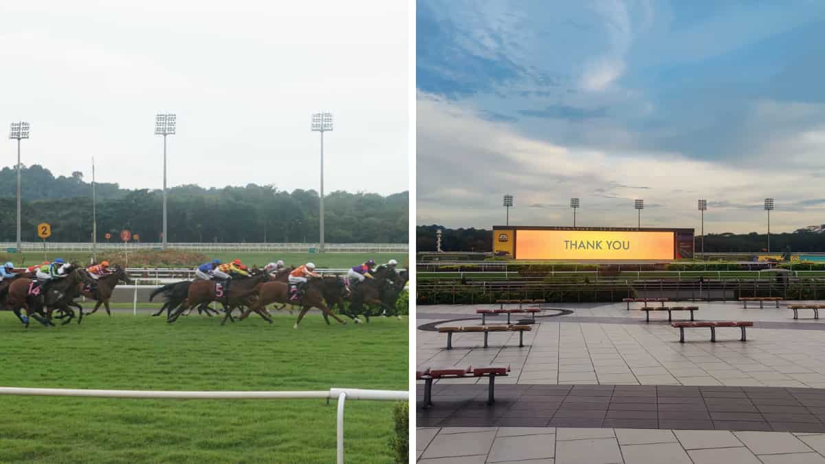 Singapore ends over 180 years of horse racing to provide land for new homes