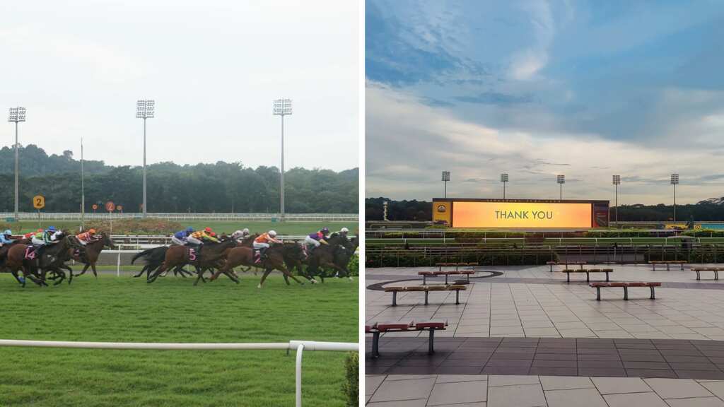 Singapore ends over 180 years of horse racing to provide land for new homes