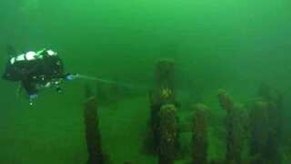There is an ancient underwater 'Stonehenge' beneath Lake Michigan in US. It was created by...