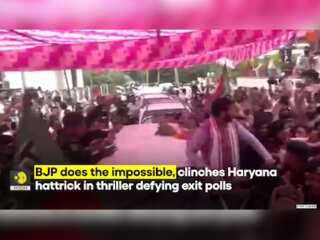 Haryana Elections: BJP Delivers Shocker To Congress In Haryana Assembly Polls | WION Originals