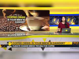 Coffee Crisis: Is Your Brew In Danger? |