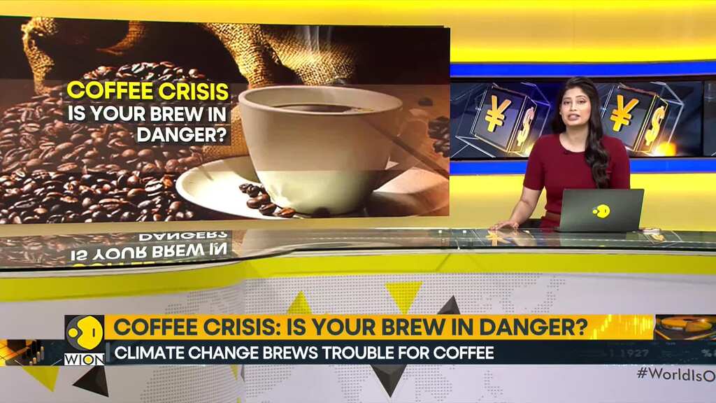 Coffee Crisis: Is Your Brew In Danger? |